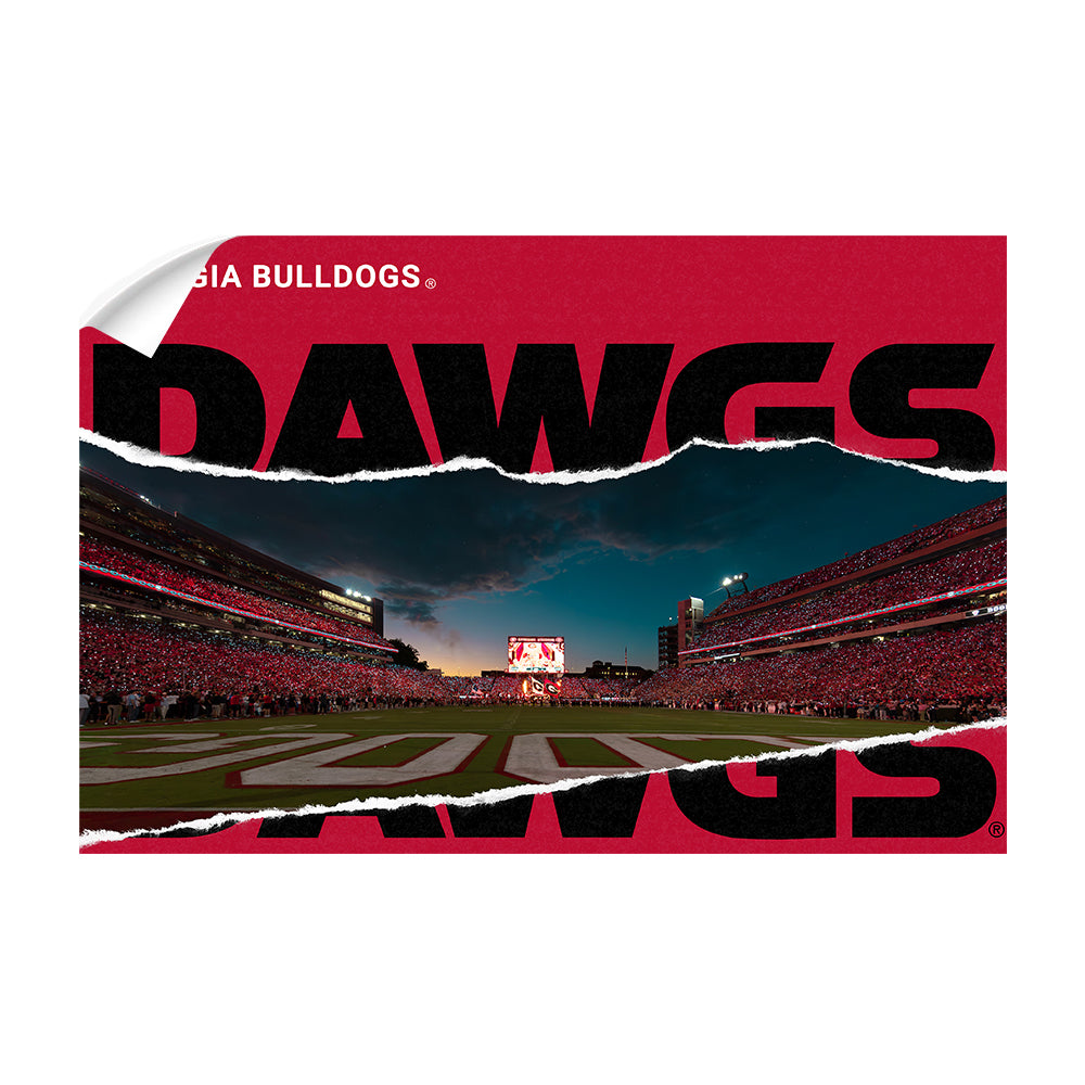 Georgia Bulldogs - Georgia Entering the Field - College Wall Art #Canvas