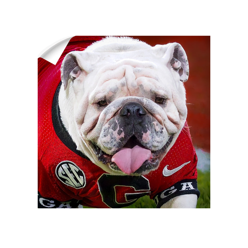   Georgia Bulldogs - Boom Close Up - College Wall Art #Canvas