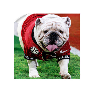 Georgia Bulldogs - Uga XI Boom - College Wall Art #Wall Decal
