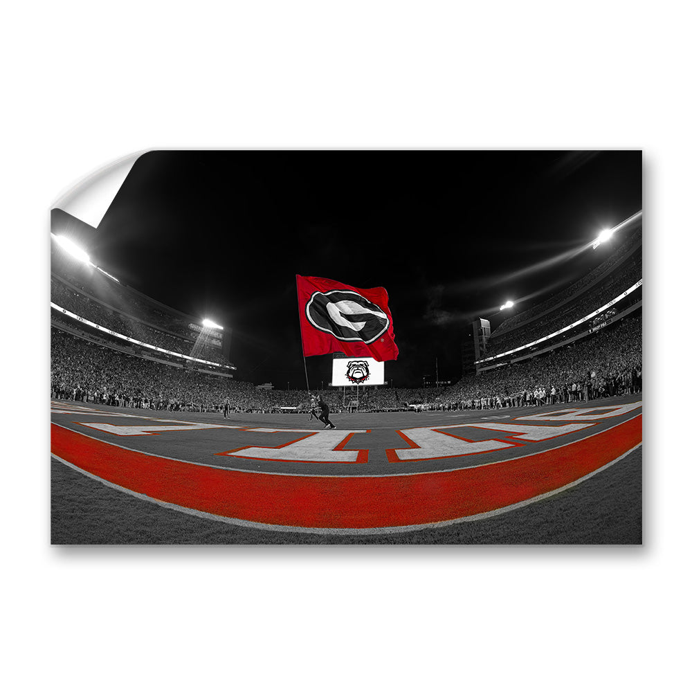 Georgia Bulldogs - Go Bulldogs - College Wall Art #Canvas