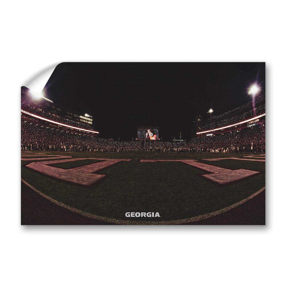 Georgia Bulldogs - 4th Quarter - College Wall Art #Canvas