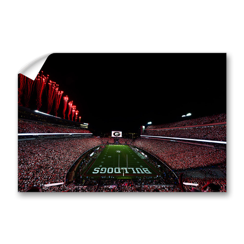 Georgia Bulldogs - Between the Hedges - College Wall Art #Canvas