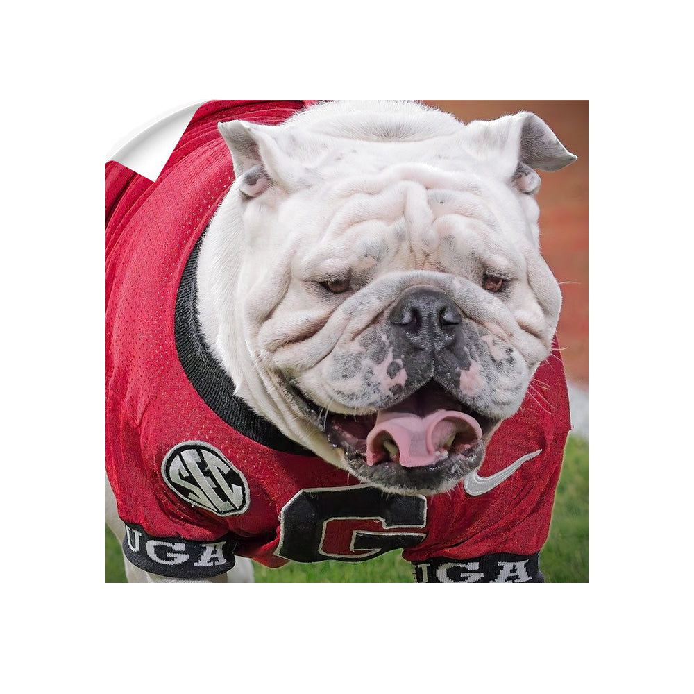 Georgia Bulldogs - Boom's Curled Tongue - College Wall Art #Canvas
