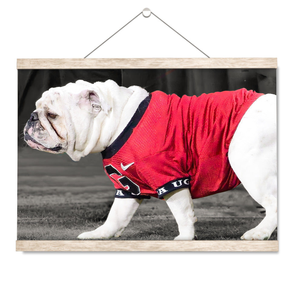 Georgia Bulldogs - Uga XI - College Wall Art #Canvas