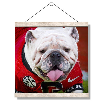 Georgia Bulldogs - Boom Close Up - College Wall Art #Hanging Canvas