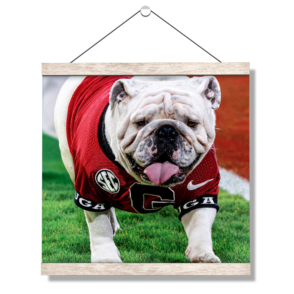 Georgia Bulldogs - Uga XI Boom - College Wall Art #Canvas