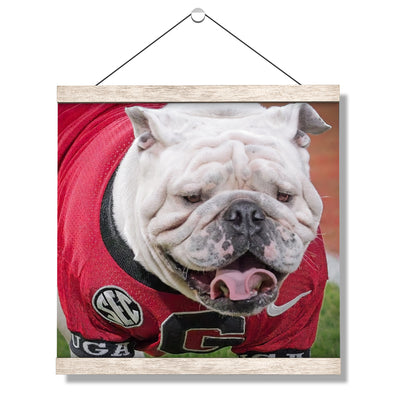Georgia Bulldogs - Boom's Curled Tongue - College Wall Art #Hanging Canvas