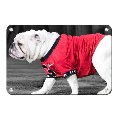 Georgia Bulldogs - Uga XI - College Wall Art #Metal