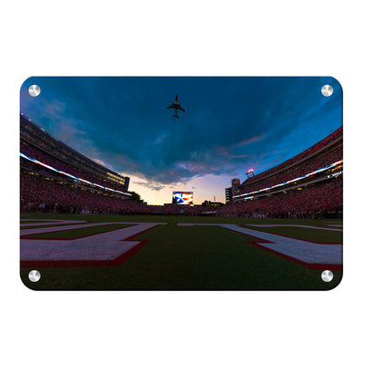 Georgia Bulldogs - Georgia Dawgs Flyover - College Wall Art #Metal