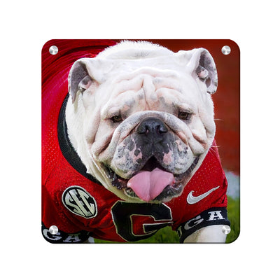 Georgia Bulldogs - Boom Close Up - College Wall Art #Metal