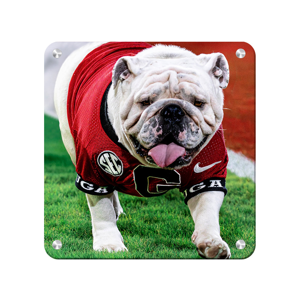Georgia Bulldogs - Uga XI Boom - College Wall Art #Canvas