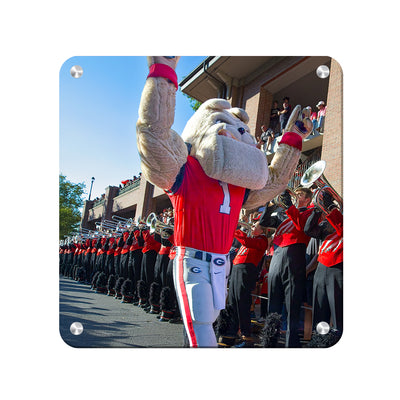 Georgia Bulldogs - Hairy Dawg Walk - College Wall Art #Metal
