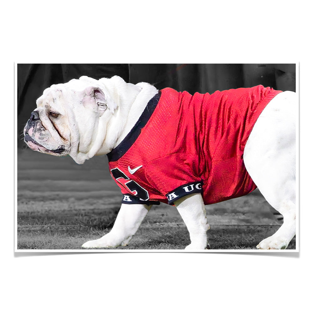 Georgia Bulldogs - Uga XI - College Wall Art #Canvas
