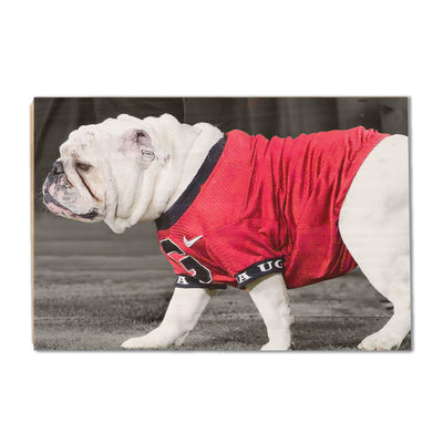 Georgia Bulldogs - Uga XI - College Wall Art #Wood