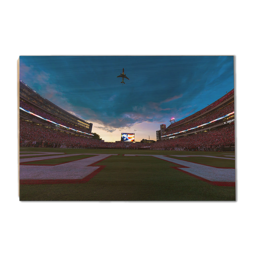 Georgia Bulldogs - Georgia Dawgs Flyover - College Wall Art #Canvas