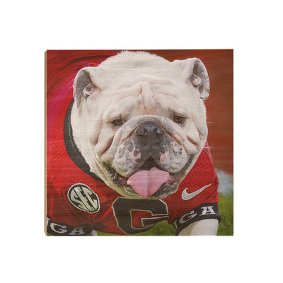 Georgia Bulldogs - Boom Close Up - College Wall Art #Wood