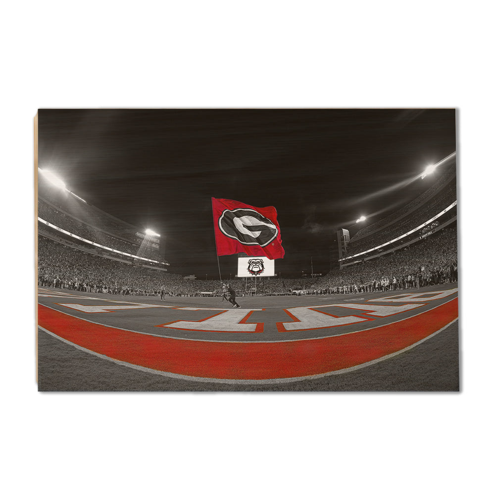 Georgia Bulldogs - Go Bulldogs - College Wall Art #Canvas