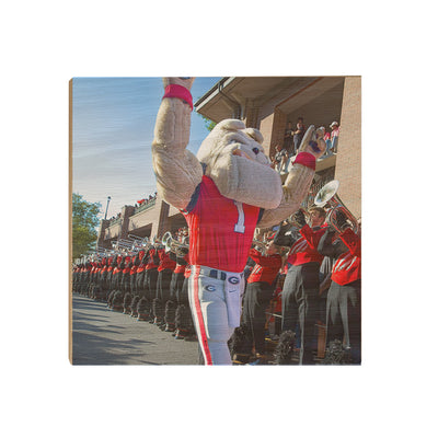 Georgia Bulldogs - Hairy Dawg Walk - College Wall Art #Wood