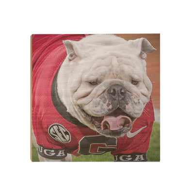 Georgia Bulldogs - Boom's Curled Tongue - College Wall Art #Wood
