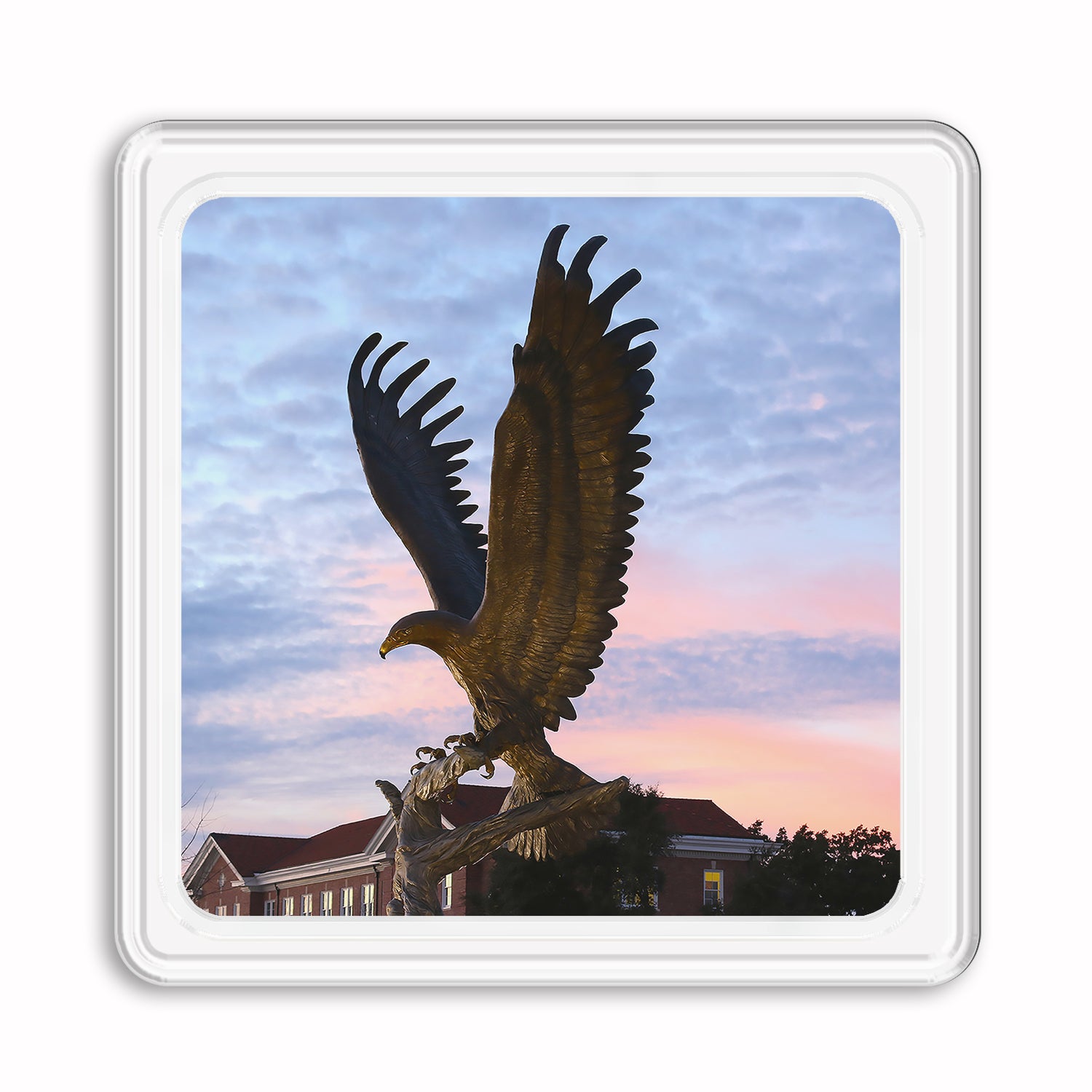 Southern Miss Golden Eagles - Lofty Return Drink Coaster