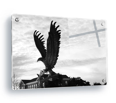 Southern Miss Golden Eagles - Lofty B&W - College Wall Art #Acrylic
