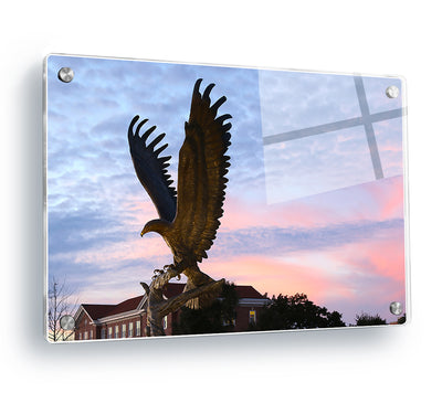 Southern Miss Golden Eagles - Lofty - College Wall Art #Acrylic