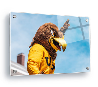 Southern Miss Golden Eagles - Seymour d’Campus - College Wall Art #Acrylic