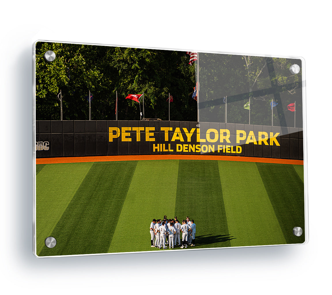 Southern Miss Golden Eagles - Pete Taylor Park Hill Denson Field - College Wall Art #Canvas