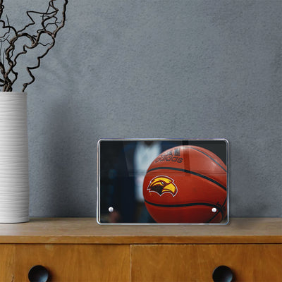Southern Miss Golden Eagles - The University of Southern Mississippi Centennial Gateway - College Wall Art #Acrylic Mini