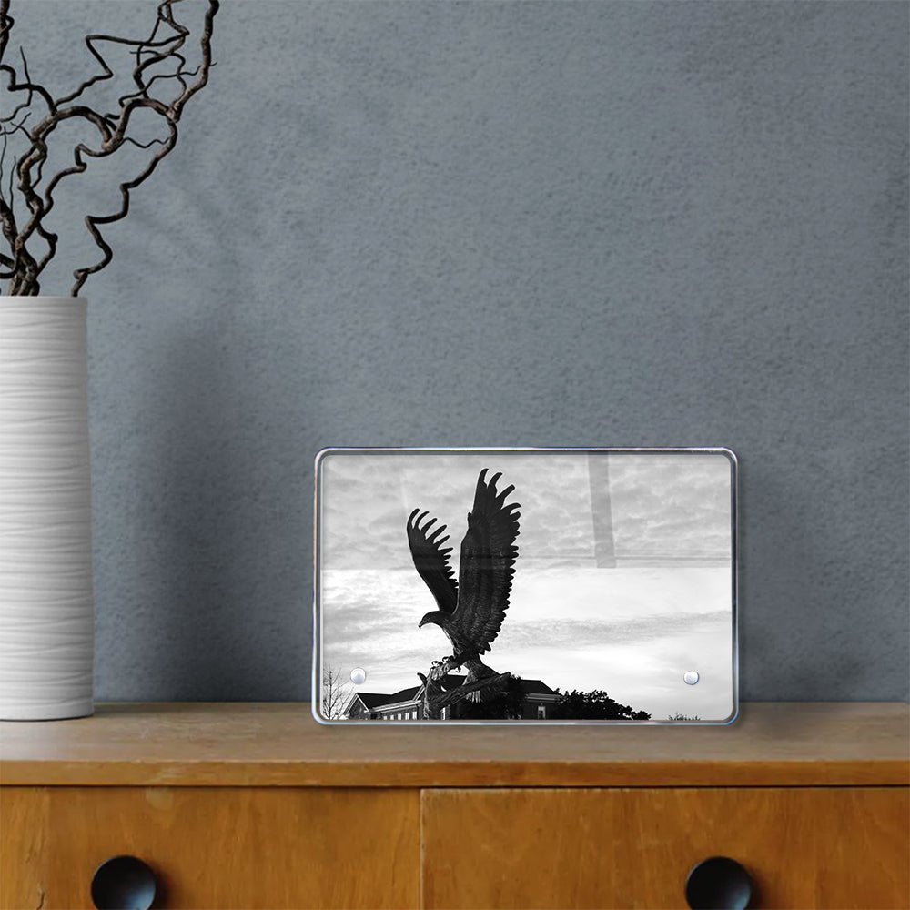 Southern Miss Golden Eagles - Lofty B&W - College Wall Art #Canvas