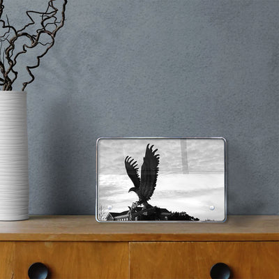 Southern Miss Golden Eagles - Lofty B&W - College Wall Art #Acrylic Mini