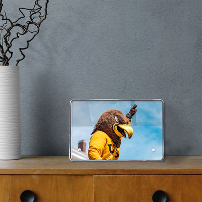 Southern Miss Golden Eagles - Seymour d’Campus - College Wall Art #Acrylic Mini