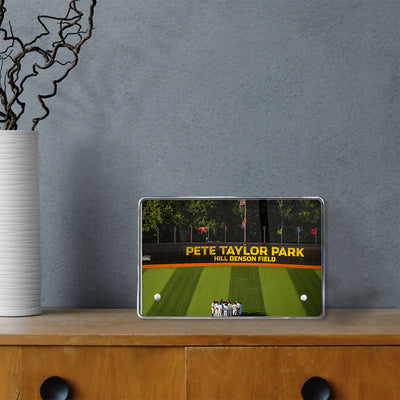 Southern Miss Golden Eagles - Pete Taylor Park Hill Denson Field - College Wall Art #Acrylic Mini