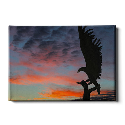 Southern Miss Golden Eagles - Lofty Sunset - College Wall Art #Canvas