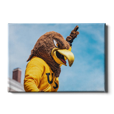 Southern Miss Golden Eagles - Seymour d’Campus - College Wall Art #Canvas