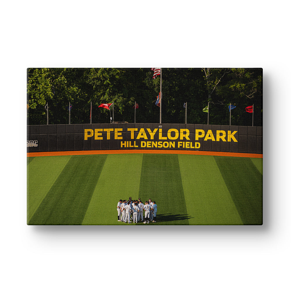 Southern Miss Golden Eagles - Pete Taylor Park Hill Denson Field - College Wall Art #Canvas
