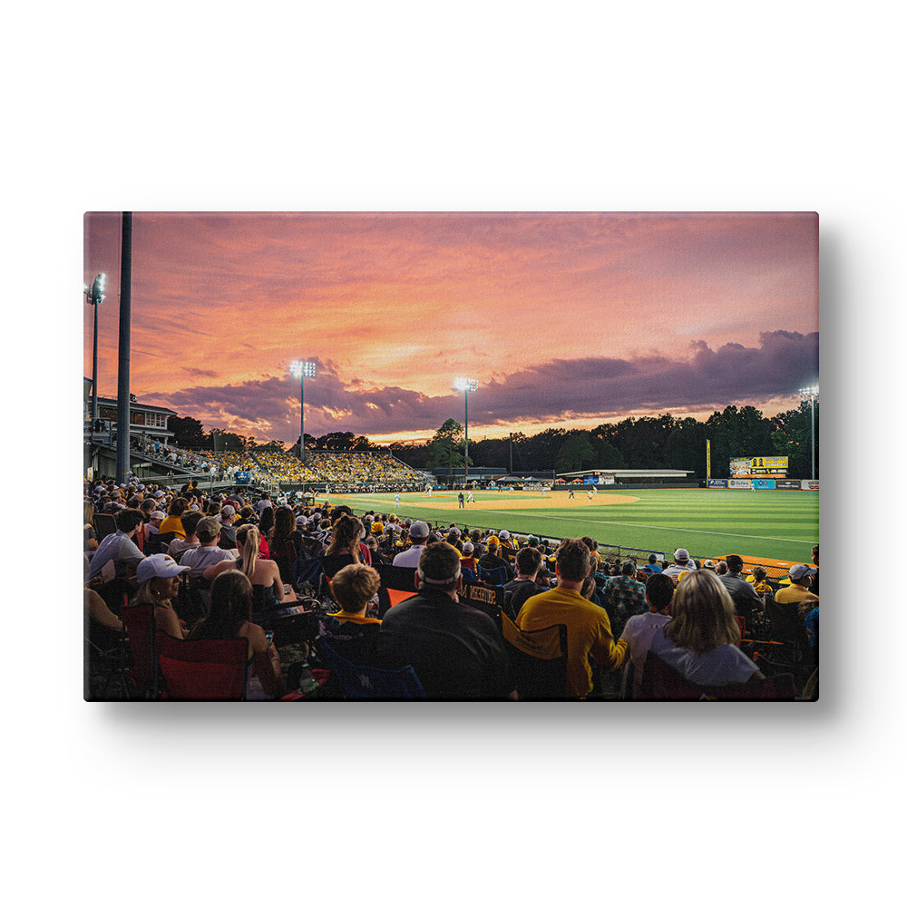 Southern Miss Golden Eagles - Tradition of Excellence Pete Taylor Field #Canvas