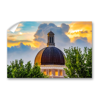Southern Miss Golden Eagles - Evening Dome - College Wall Art #Wall Murals