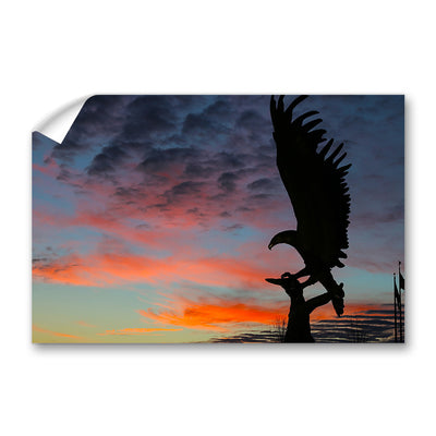 Southern Miss Golden Eagles - Lofty Sunset - College Wall Art #Wall Murals