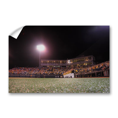 Southern Miss Golden Eagles - Baseball National Anthem - College Wall Art #Wall Murals