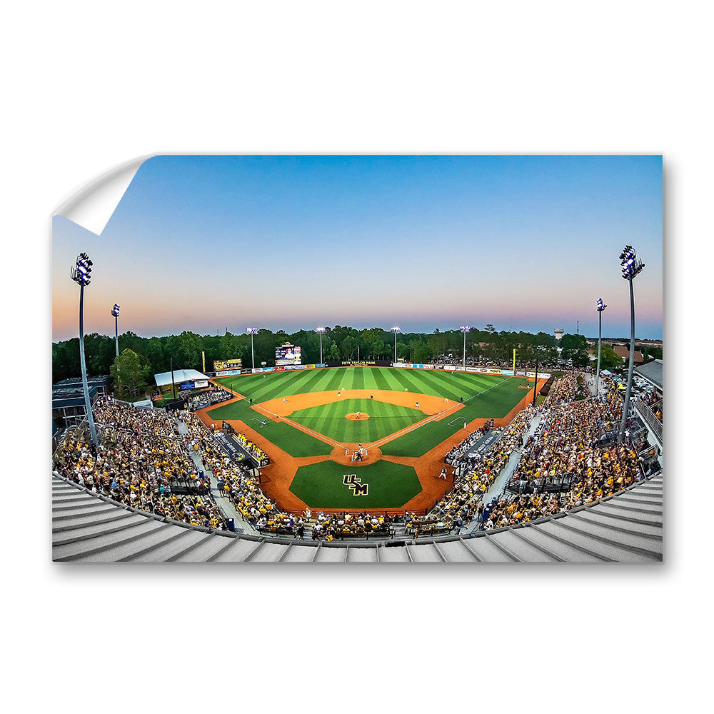 Southern Miss Golden Eagles - Pete Taylor Park - College Wall Art #Canvas