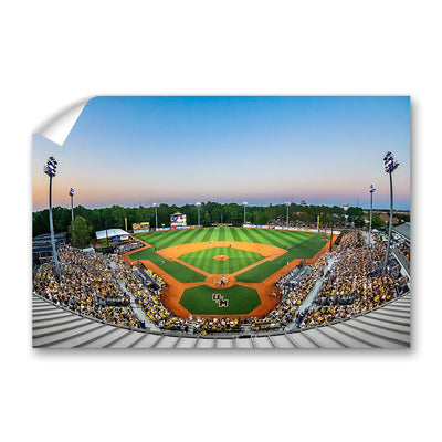 Southern Miss Golden Eagles - Pete Taylor Park - College Wall Art #Wall Murals