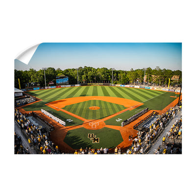 Southern Miss Golden Eagles - Pete Taylor Park - College Wall Art #Wall Murals