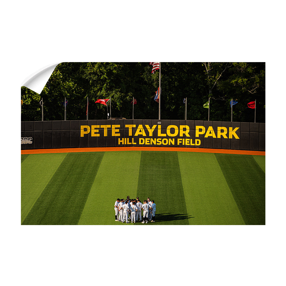 Southern Miss Golden Eagles - Pete Taylor Park Hill Denson Field - College Wall Art #Canvas