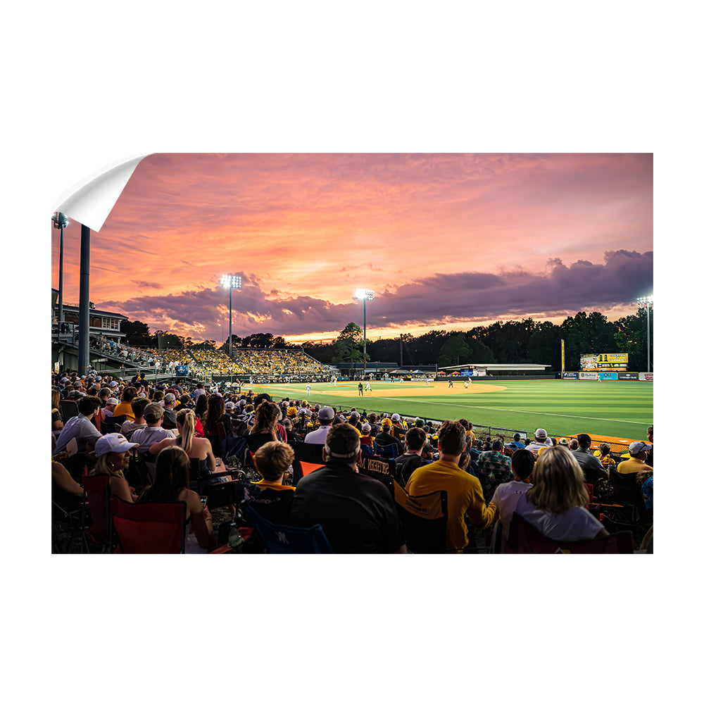 Southern Miss Golden Eagles - Tradition of Excellence Pete Taylor Field #Canvas