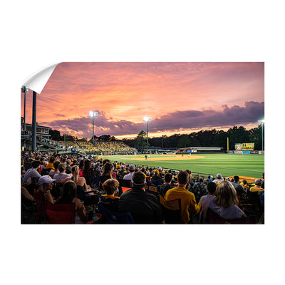 Southern Miss Golden Eagles - Tradition of Excellence Pete Taylor Field #Wall Murals