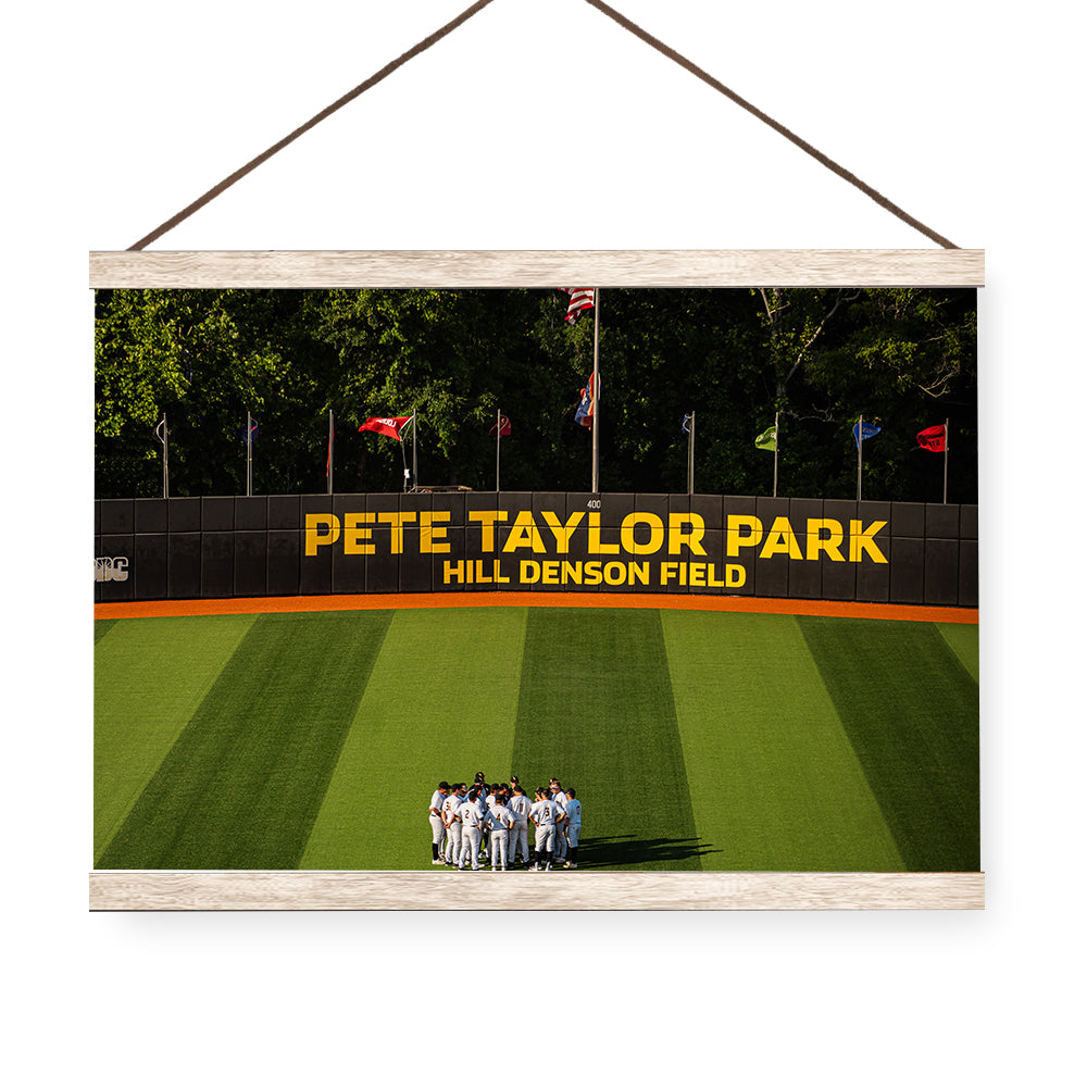 Southern Miss Golden Eagles - Pete Taylor Park Hill Denson Field - College Wall Art #Canvas