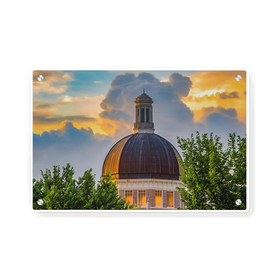 Southern Miss Golden Eagles - Evening Dome - College Wall Art #Metal
