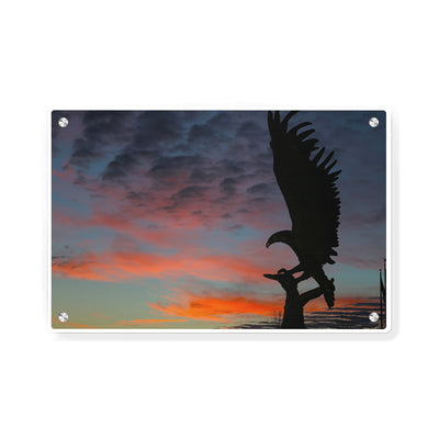 Southern Miss Golden Eagles - Lofty Sunset