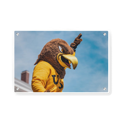 Southern Miss Golden Eagles - Seymour d’Campus - College Wall Art #Metal
